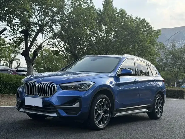 BMW X1 2020 sDrive20Li Premium Edition