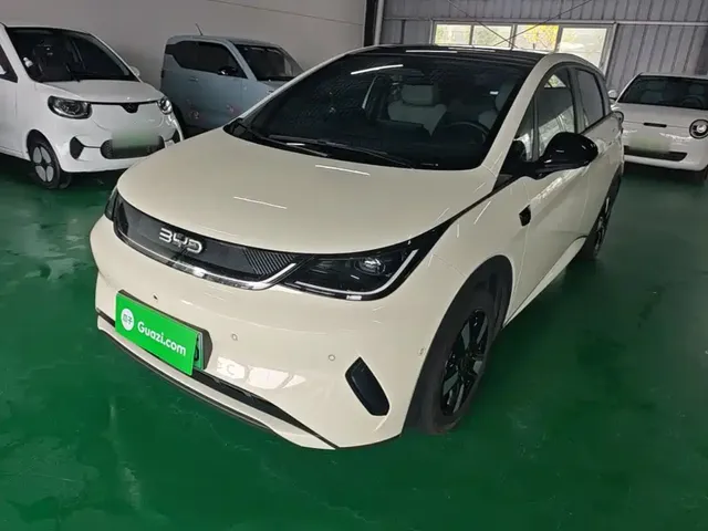 BYD Dolphin 2025 Smart Drive Edition 410km Fashion Version