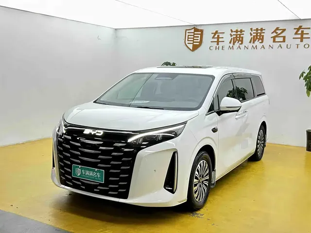 BYD Xia 2025 DM-i 1.5T 180km Excellence