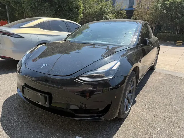 Tesla Model 3 2022 Model Rear-Wheel Drive Version