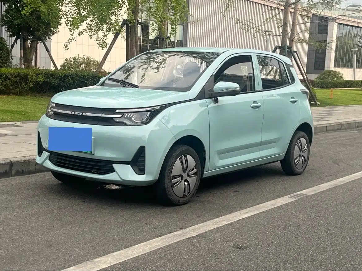 LeiDing Mango 2021 Funjoy Edition 200km