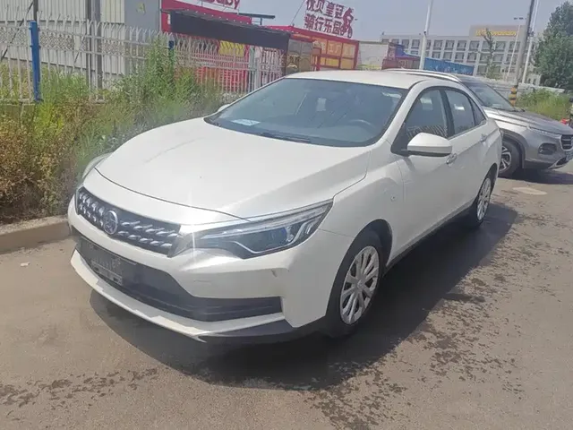 Venucia D60 2019 100K Glory 1.6L Entry Manual Chen Shang Edition China VI