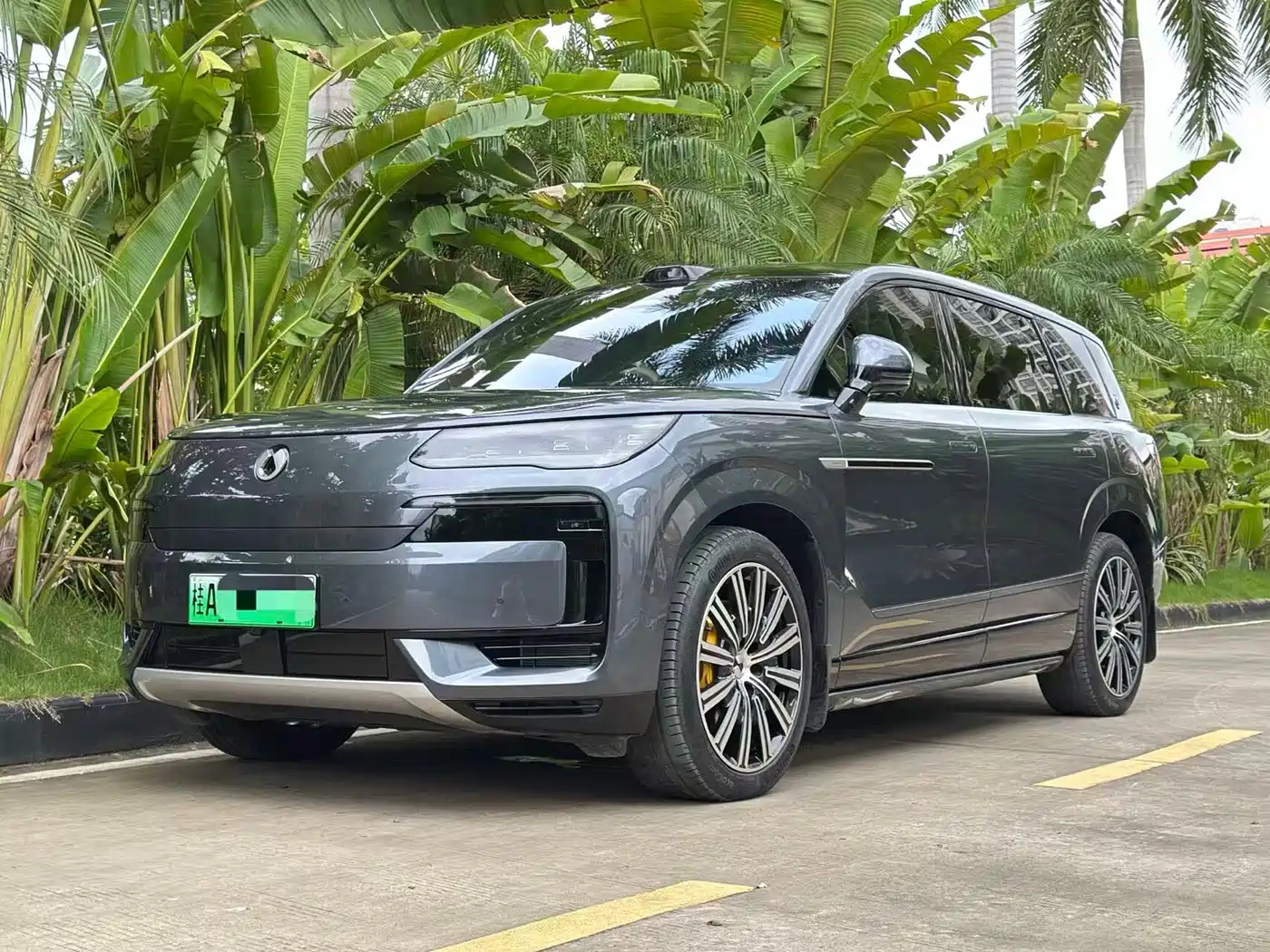 Denza N9 2025 Model Prestige Edition