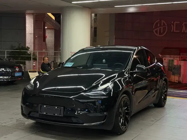 Tesla Model Y 2021 Standard Range Rear-Wheel Drive