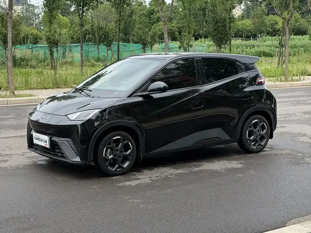 BYD Seagull 2024 Glory Edition 305km Freedom Edition