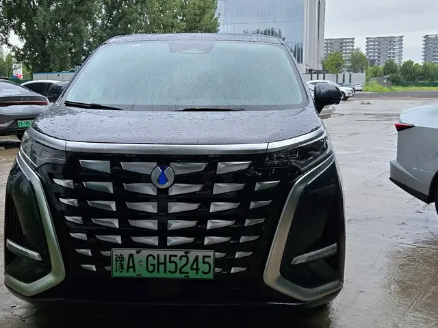 Denza D9 2024 DM-i 980 AWD Premium