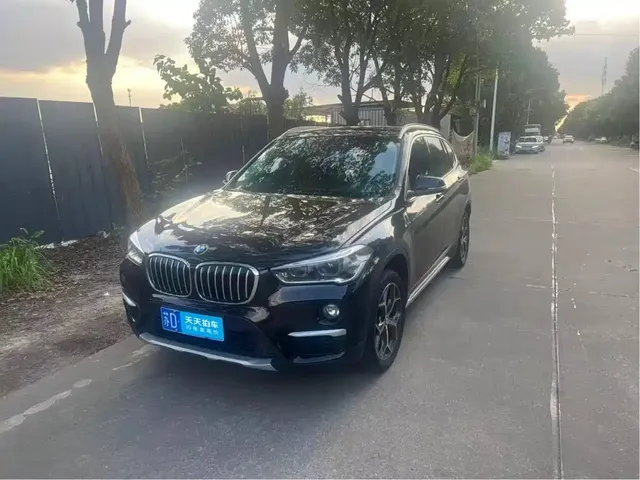 BMW X1 2019 xDrive20Li Premium Model
