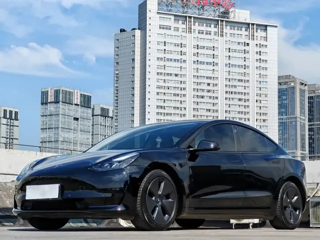 Tesla Model 3 2022 Model Rear-Wheel Drive Version