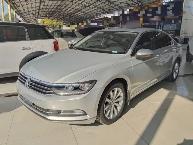 Volkswagen Magotan 2019 330TSI DSG Leading China V