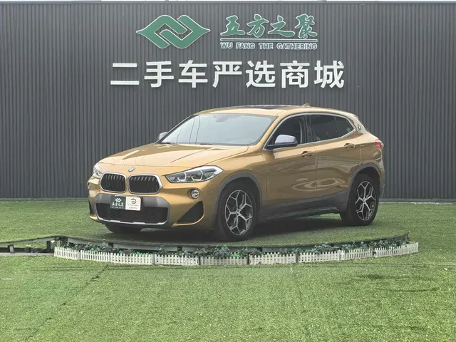 BMW X2 (Import) 2019 sDrive20i M Off-Road Package China VI