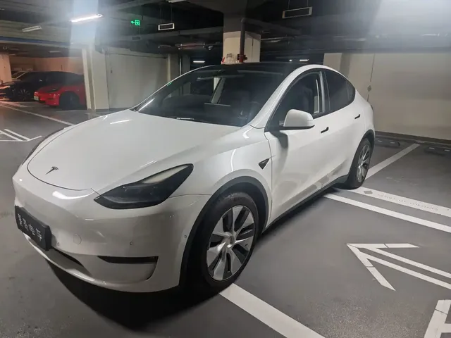 Tesla Model Y 2021 Long Range All-Wheel Drive 3D7