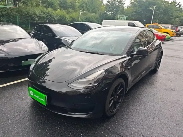 Tesla Model 3 2021 Standard Range Rear-Wheel Drive Upgrade 3D6