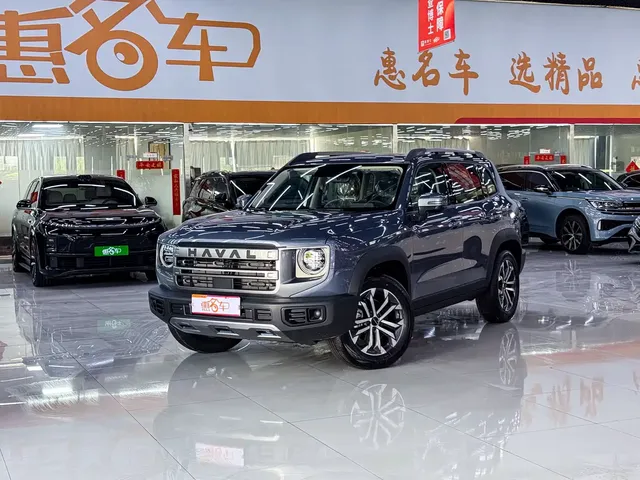 Haval Big Dog 2024 Model 1.5T DCT Labrador Edition