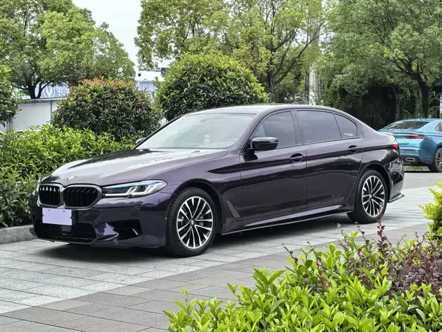 BMW 5 Series 2020 530Li Leading Luxury Package
