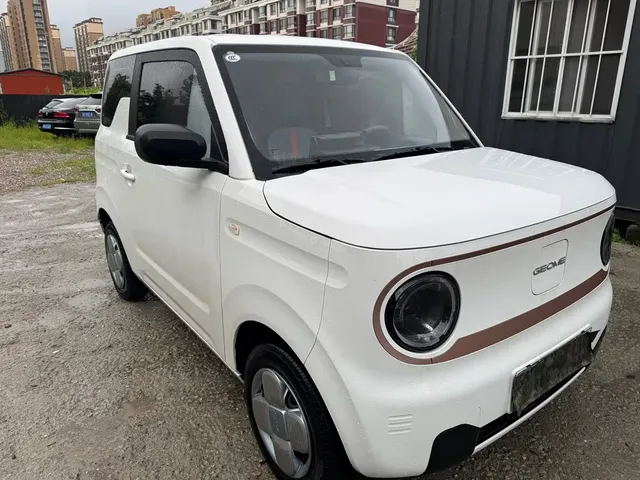 Geely Galaxy Panda 2024 Panda mini 200km Endurance Bear