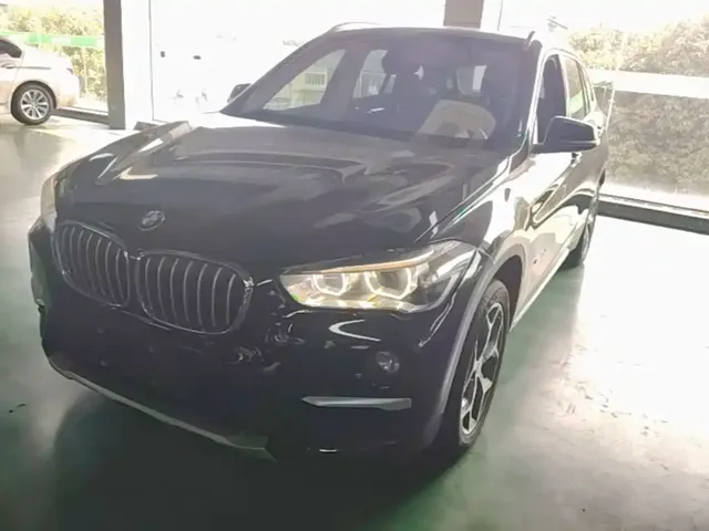 BMW X1 2018 xDrive20Li Premium Model