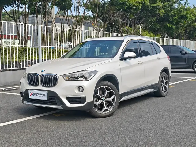 BMW X1 2019 xDrive20Li Premium Model