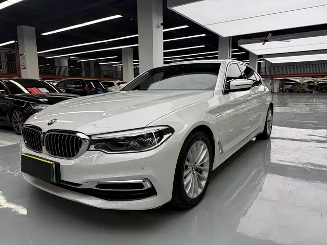 BMW 5 Series New Energy 2020 530Le Range Upgrade Luxury Package