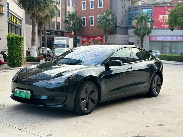 Tesla Model 3 2022 Model Rear-Wheel Drive Version