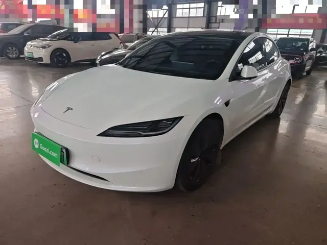 Tesla Model 3 2025 Model Rear-Wheel Drive Edition