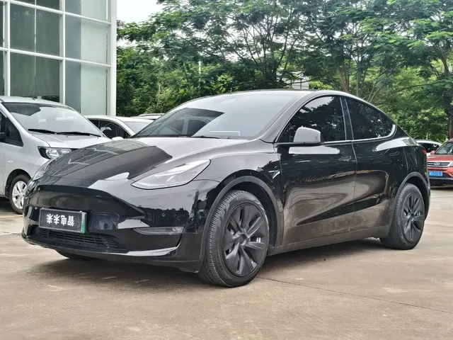 Tesla Model Y 2021 Standard Range Rear-Wheel Drive