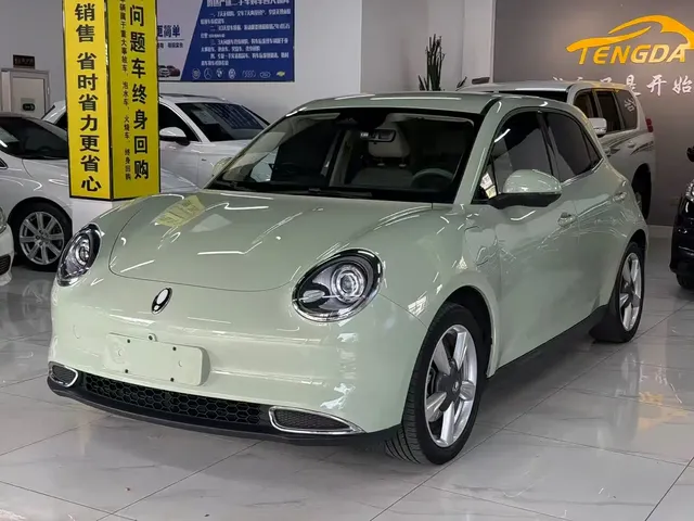 Ora Good Cat 2023 401km Standard Range Luxury LFP