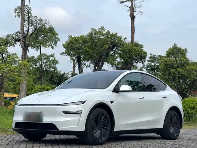 Tesla Model Y 2025 Rear-Wheel Drive