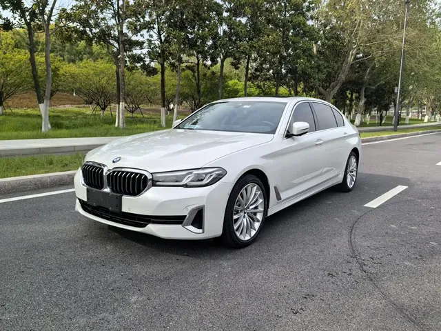 BMW 5 Series 2021 530Li Premium Luxury Package