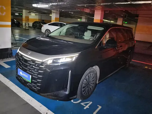 BYD Xia 2025 DM-i 1.5T 180km Surpass Edition