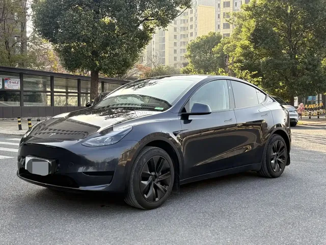 Tesla Model Y 2024 Rear-Wheel Drive Version
