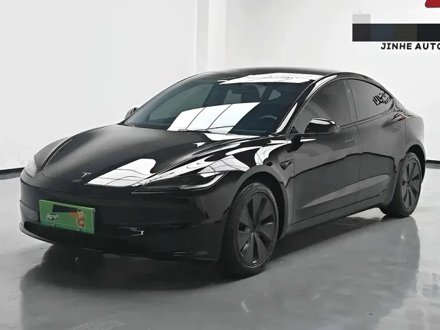 Tesla Model 3 2025 Model Rear-Wheel Drive Edition