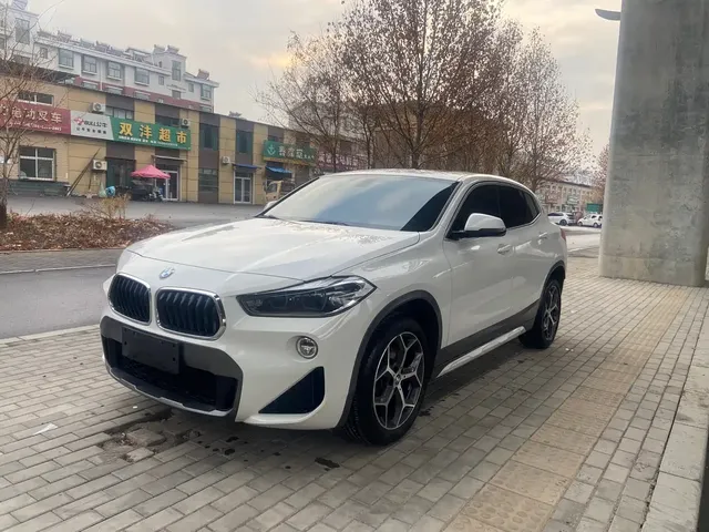 BMW X2 (Import) 2019 sDrive20i M Off-Road Package China VI