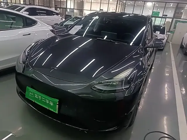 Tesla Model Y 2024 Rear-Wheel Drive Version