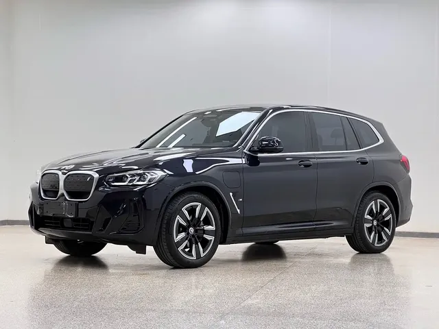 BMW iX3 2023 Leading Type