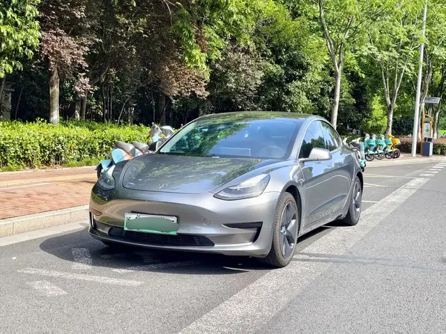 Tesla Model 3 2020 Standard Range Rear-Wheel Drive Upgrade