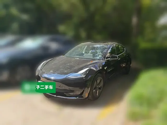 Tesla Model 3 2020 Facelift Standard Range RWD Upgrade