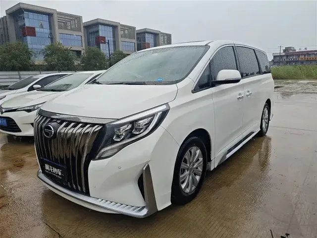 GAC Trumpchi M8 2020 Pilot 390T Premium Edition