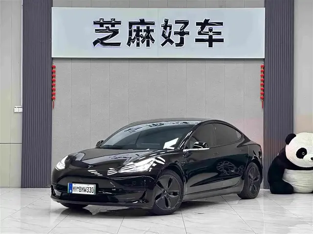 Tesla Model 3 2020 Standard Range Rear-Wheel Drive Upgrade