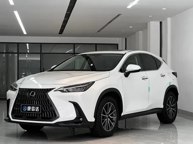 Lexus NX 2023 260 FWD Joy Creation Edition