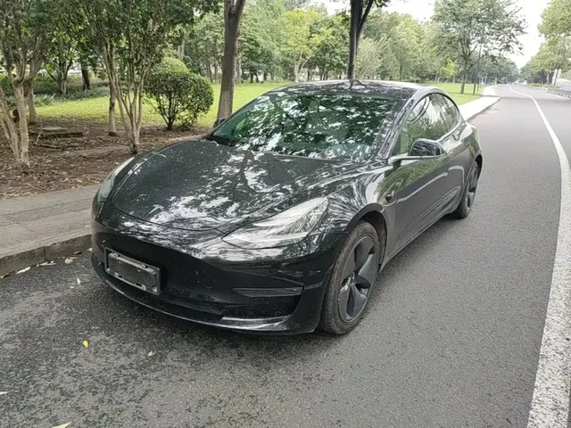 Tesla Model 3 (Import) 2019 Long Range RWD Version