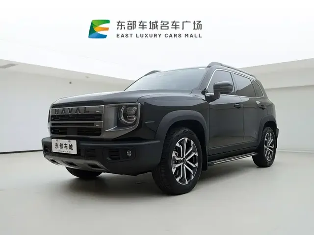 Haval Big Dog 2024 1.5T DCT Border Collie Edition