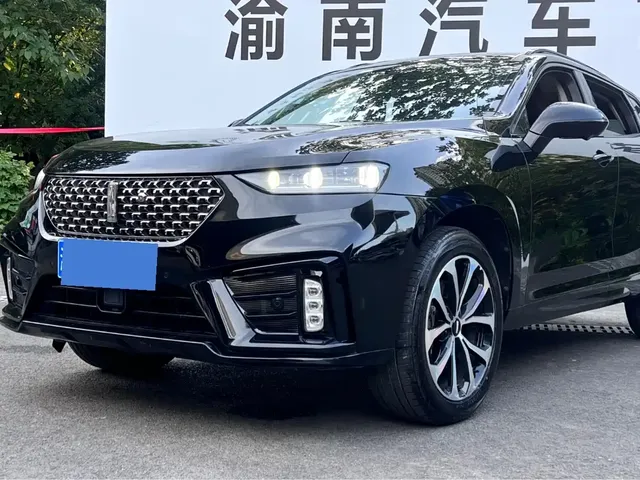 WEY VV7 2020 2.0T Super Luxury