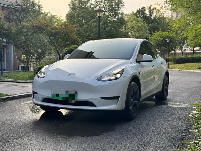 Tesla Model Y 2023 Rear-Wheel Drive Edition