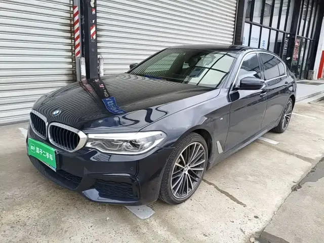 BMW 5 Series 2020 530Li Leading M Sport Package