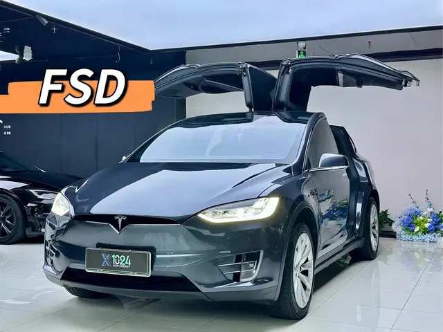 Tesla Model X 2019 Long Range Version