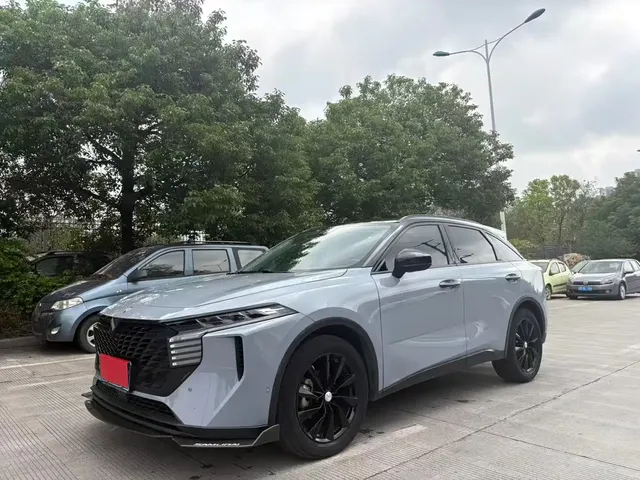Venucia Big V 2021 260T King Edition