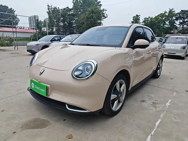 Ora Good Cat 2021 400km Standard Range Official Version (NMC)