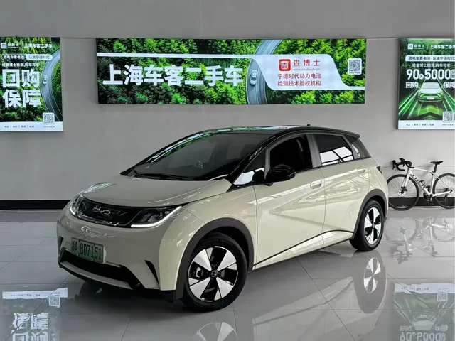BYD Dolphin 2023 420km Freedom Edition