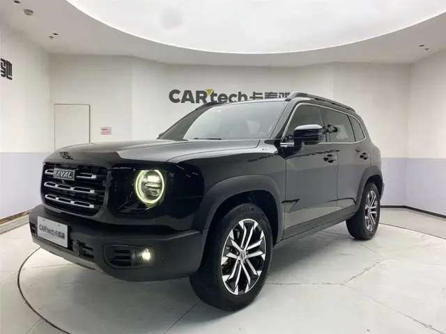Haval Big Dog 2021 1.5T DCT 2WD Border Collie - Wangcai Edition