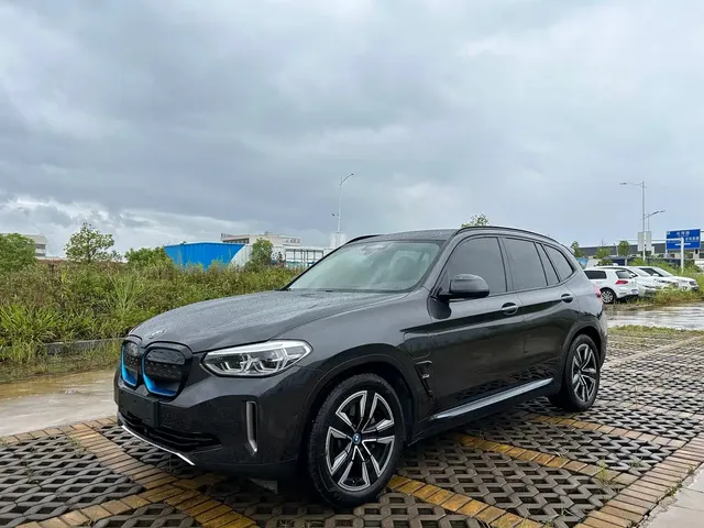 BMW iX3 2021 Leading